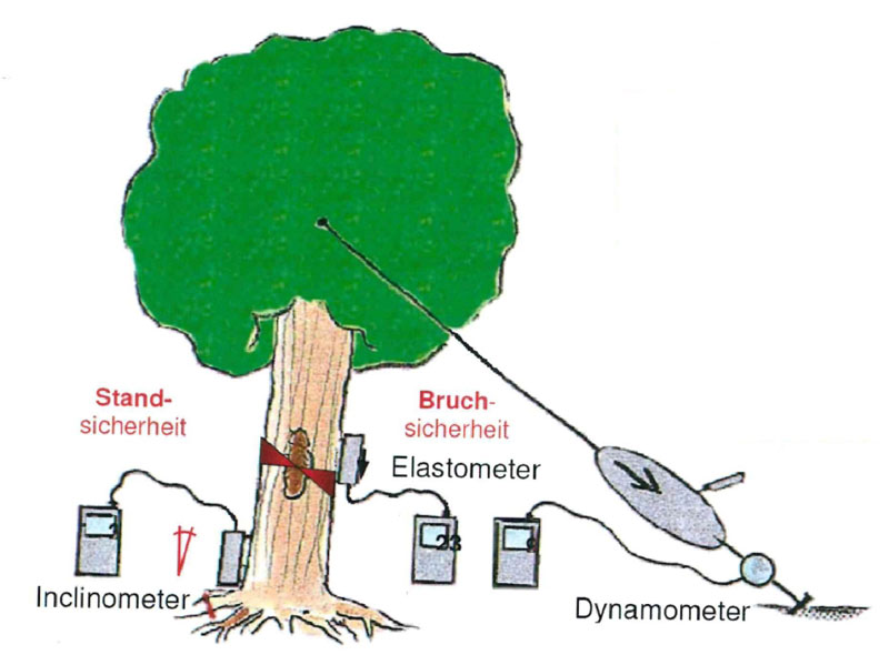 Ein Schaubild, das einen Zugversuch darstellt